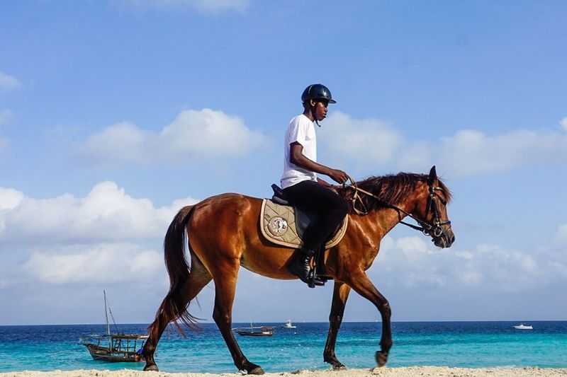 Zanzibar by Horse Zanzibar Horse Club