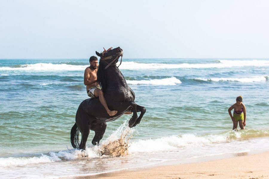 Horse Back Riding, Who is it for Zanzibar Horse Club