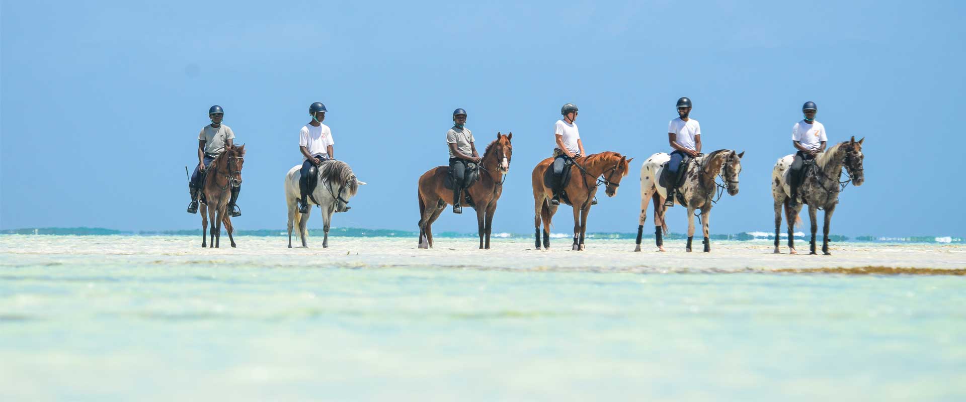 Exciting Horse Rides Zanzibar Horse Club