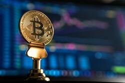 Real Estate vs Cryptos. How are you building wealth?