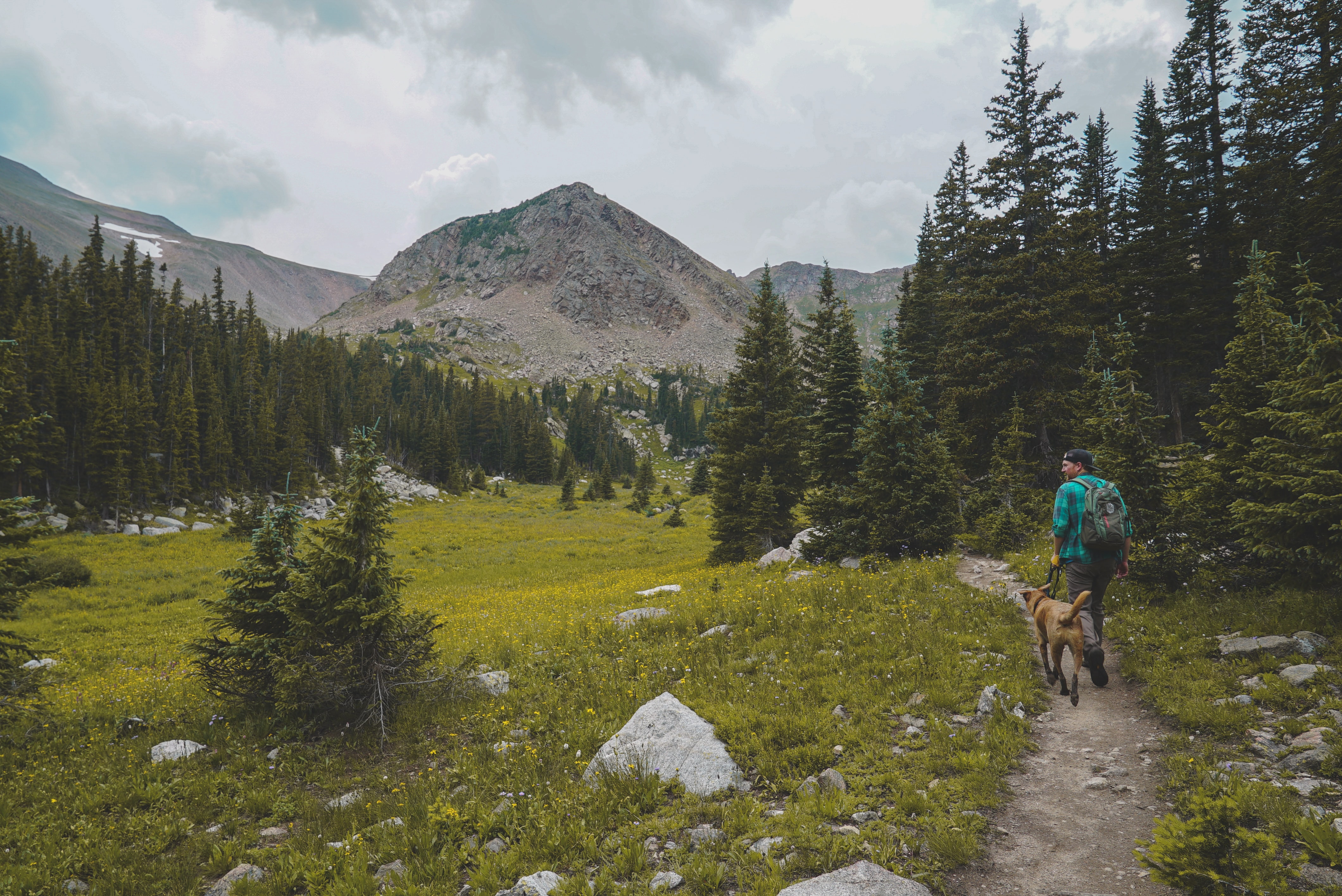 The 10 Best Dog Hikes In Utah