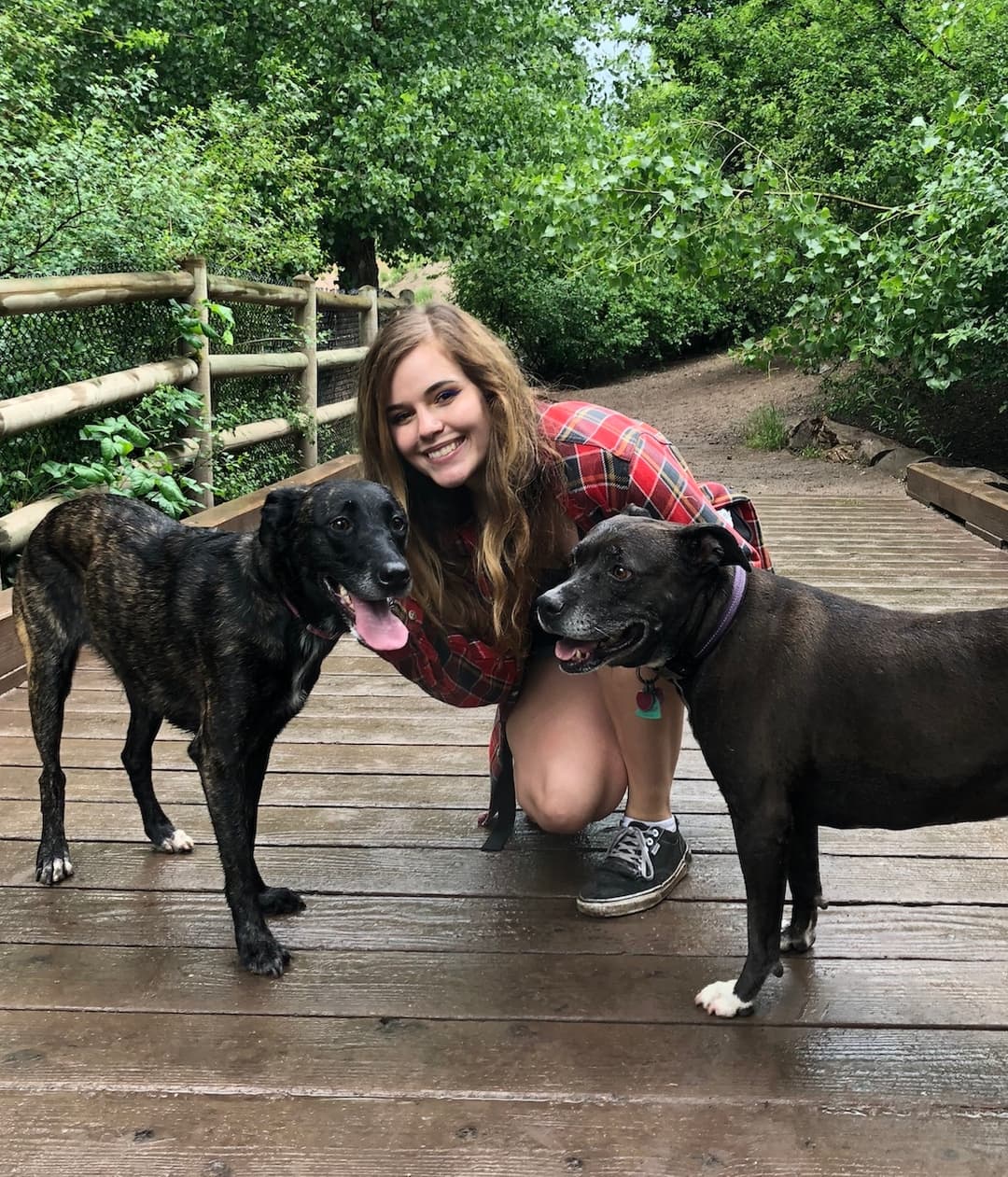 Team Sugar House Pets