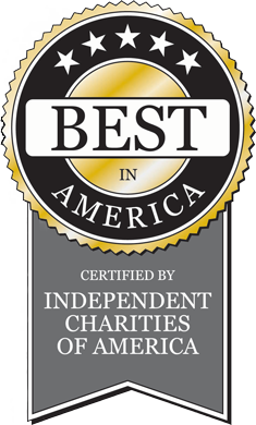 Best in America logo