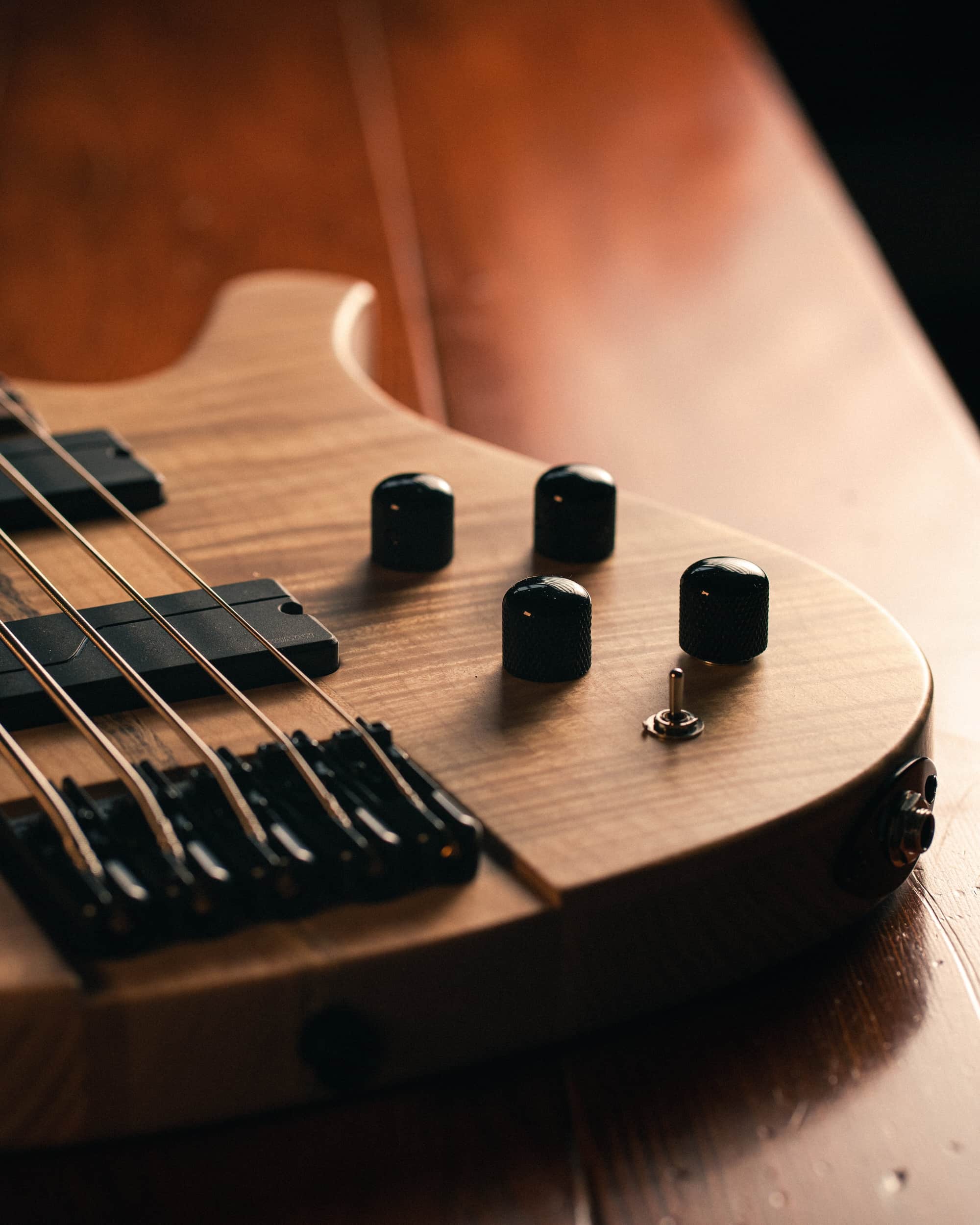 About Vigilant Custom Guitars, Victoria, BC