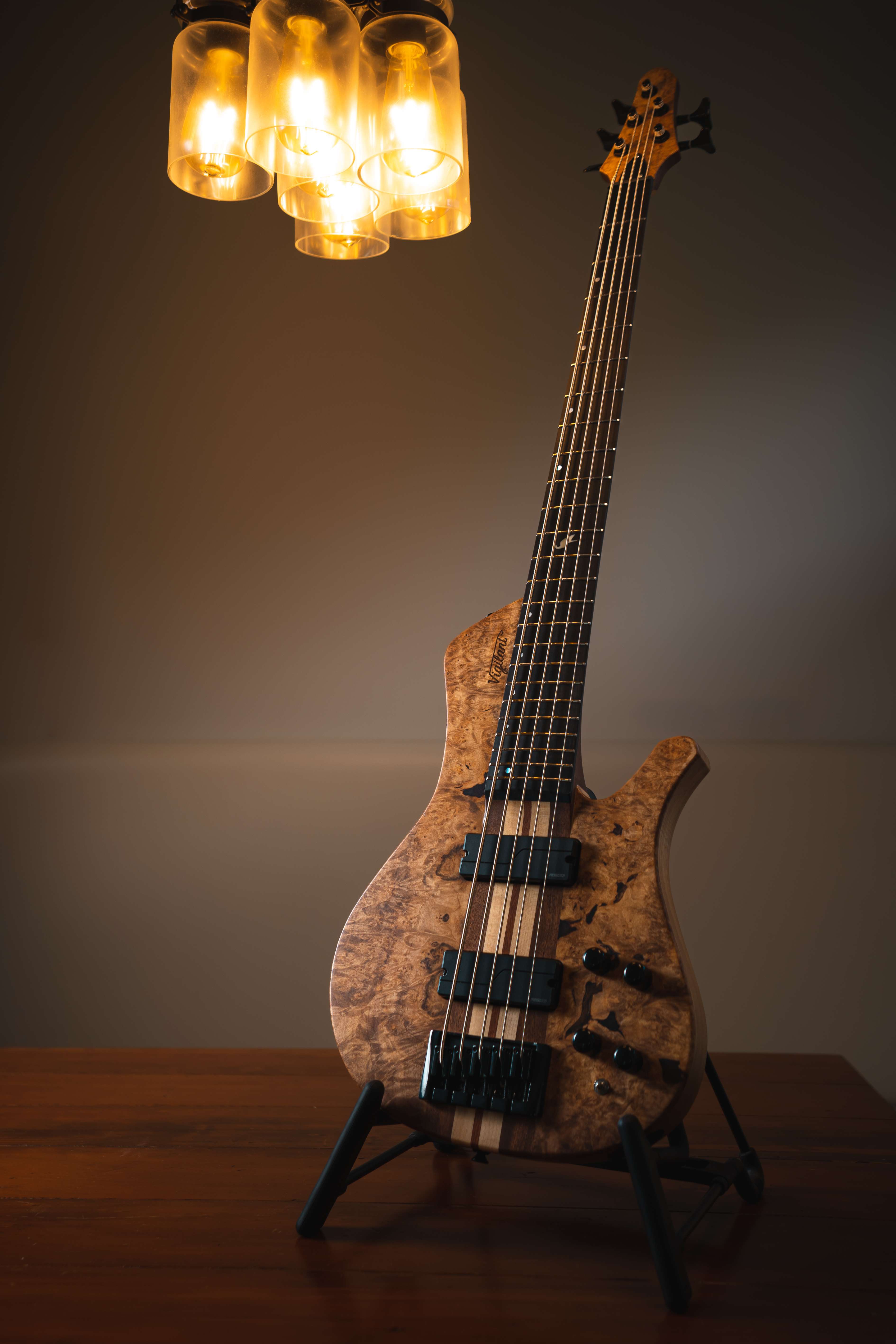 Custom Vigilant Builds Custom Guitars, Victoria, BC