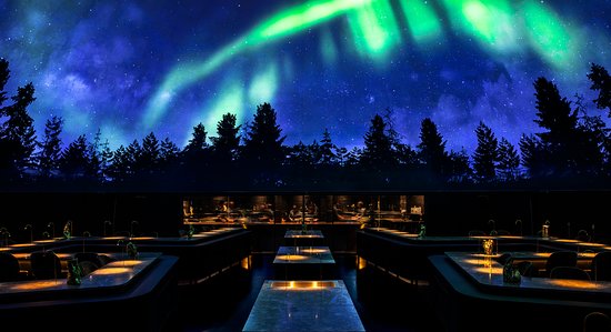 62d7eb8d2f5f1e08743121e0 11%20The%20Alchemist%20 %20TripAdvisor