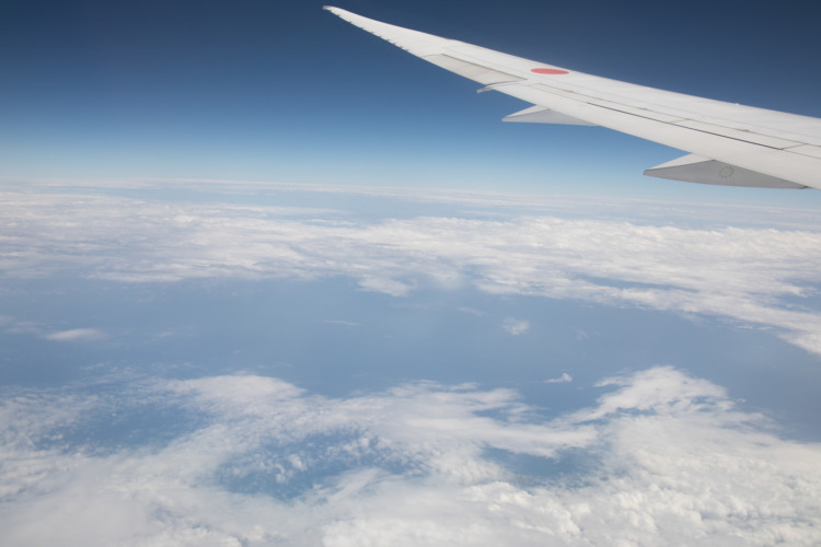 航空,業界