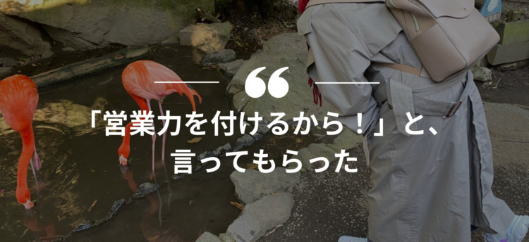 長期インターン,インターンシップ