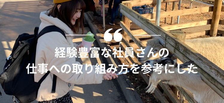 インターンシップ,長期インターン