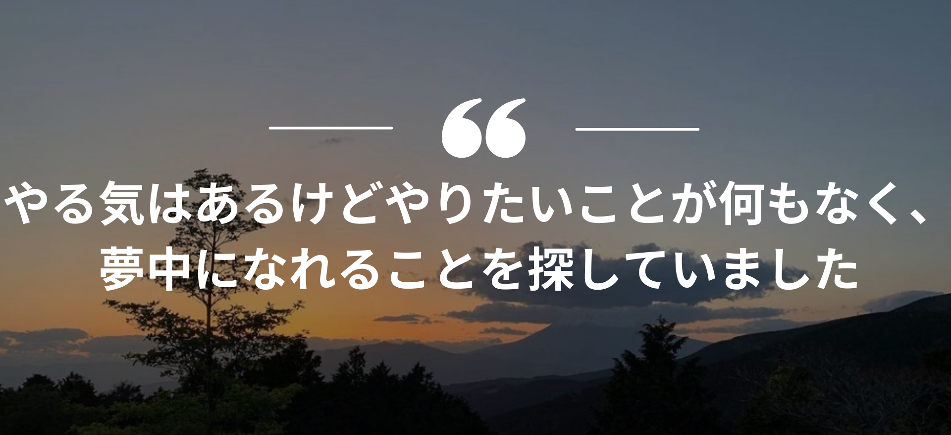 インターンシップ,長期インターン