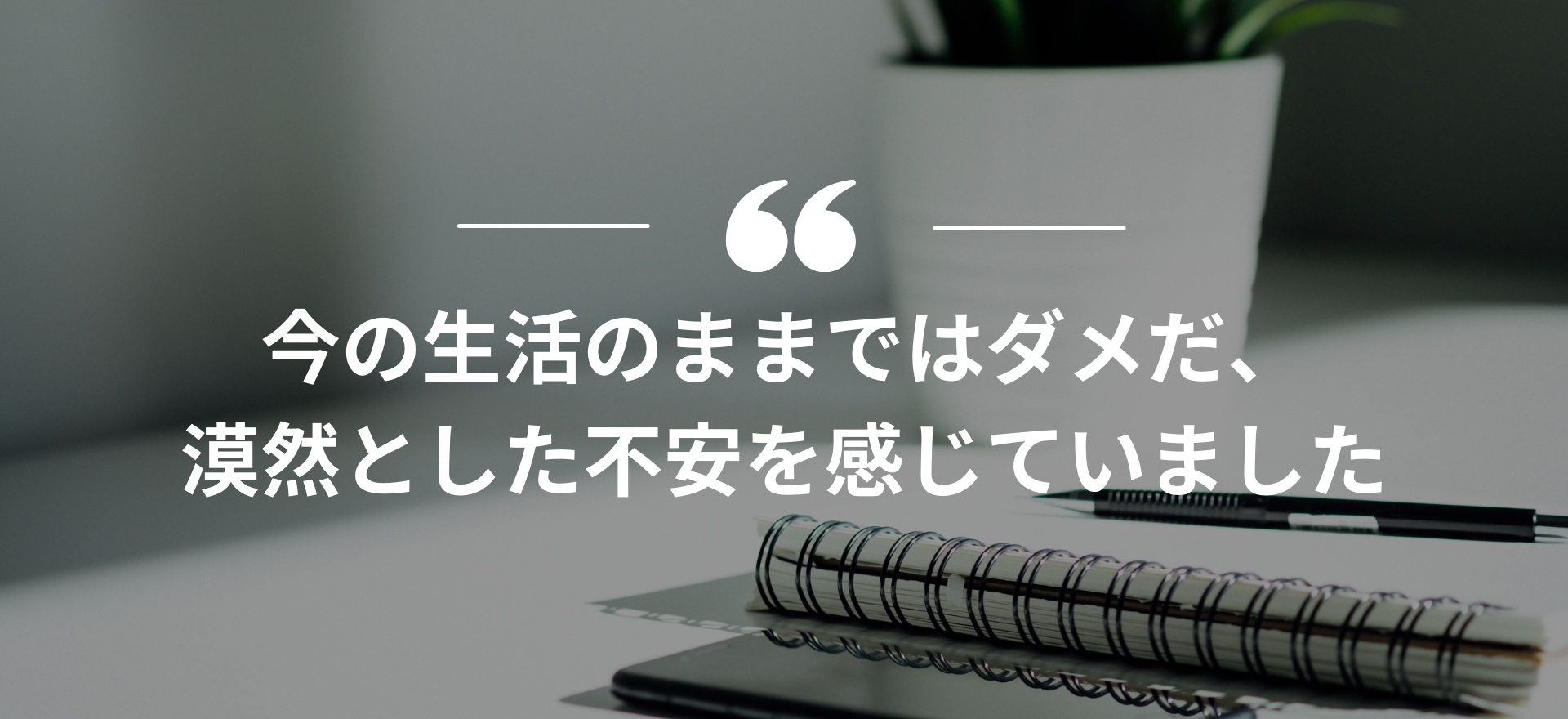 インターンシップ,長期インターン
