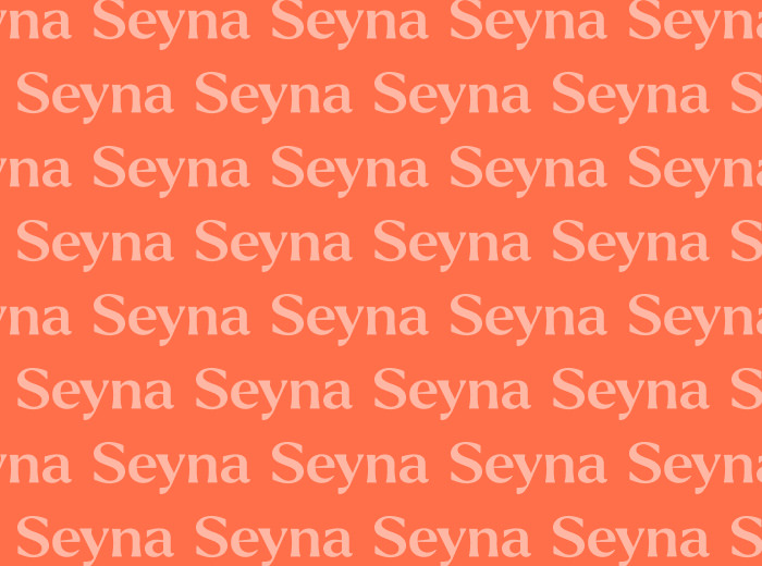 Seyna is building the insurance platform enabling your company’s growth.