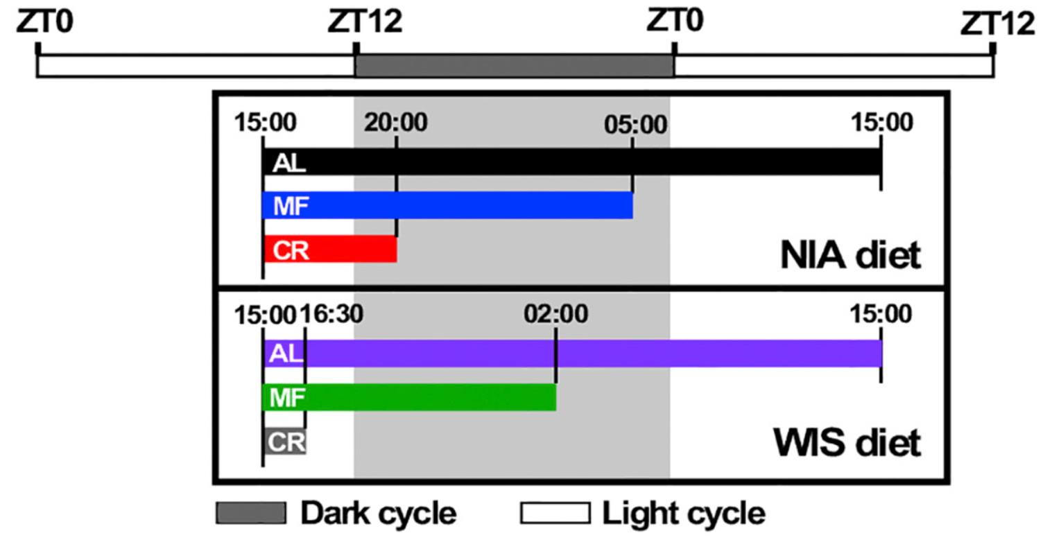 TimelineDescription automatically generated