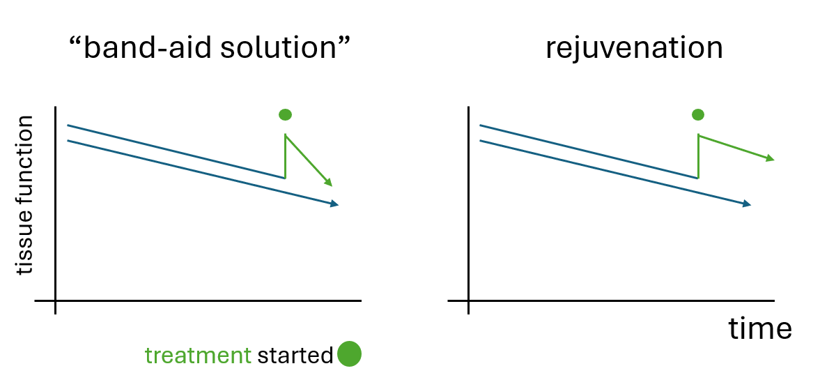A graph of a solution and a rejuvenationDescription automatically generated