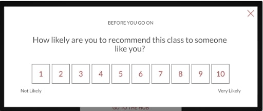 Example of a net promoter score tool
