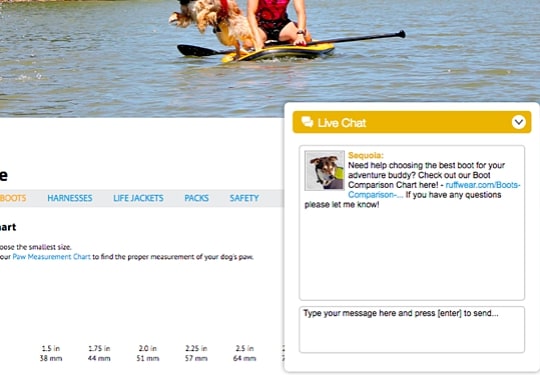 Live chat-based customer reviews