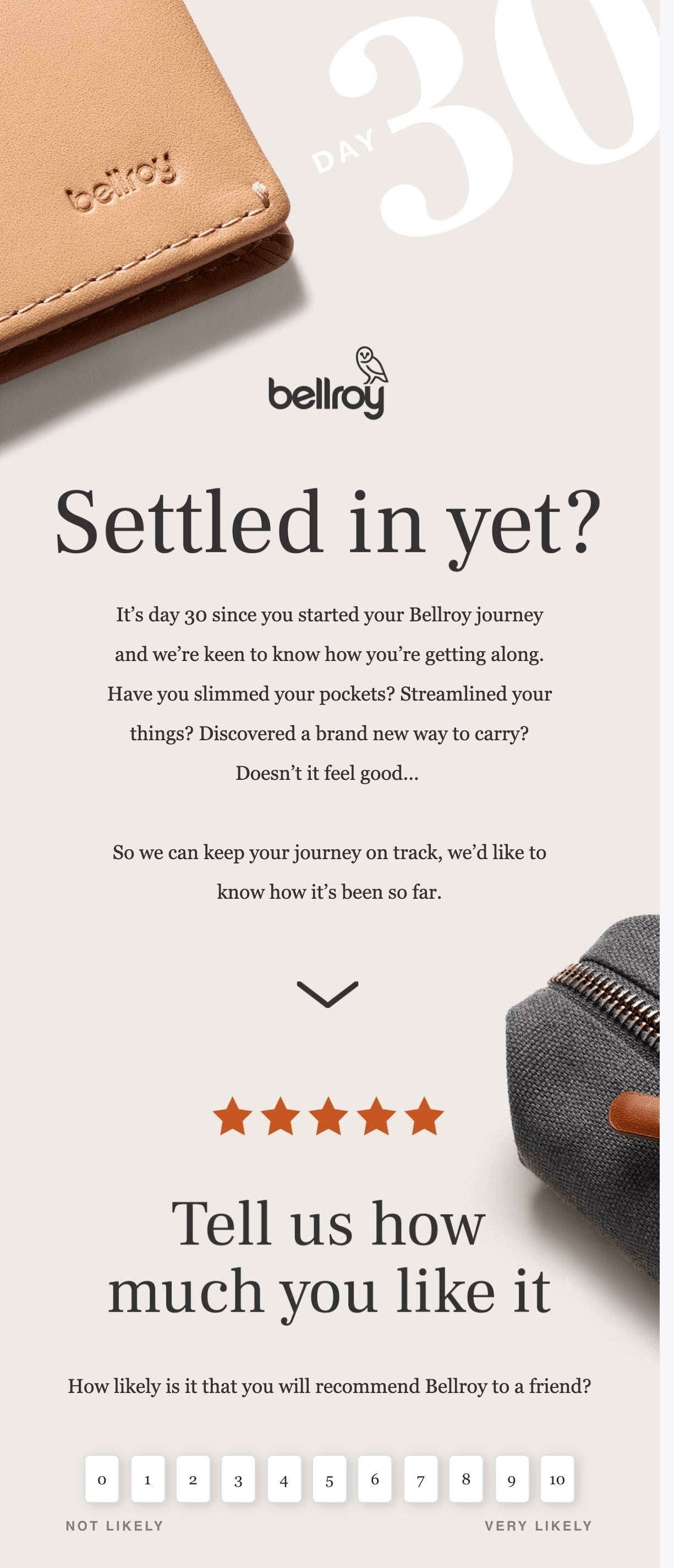 Customer review request after 30 days