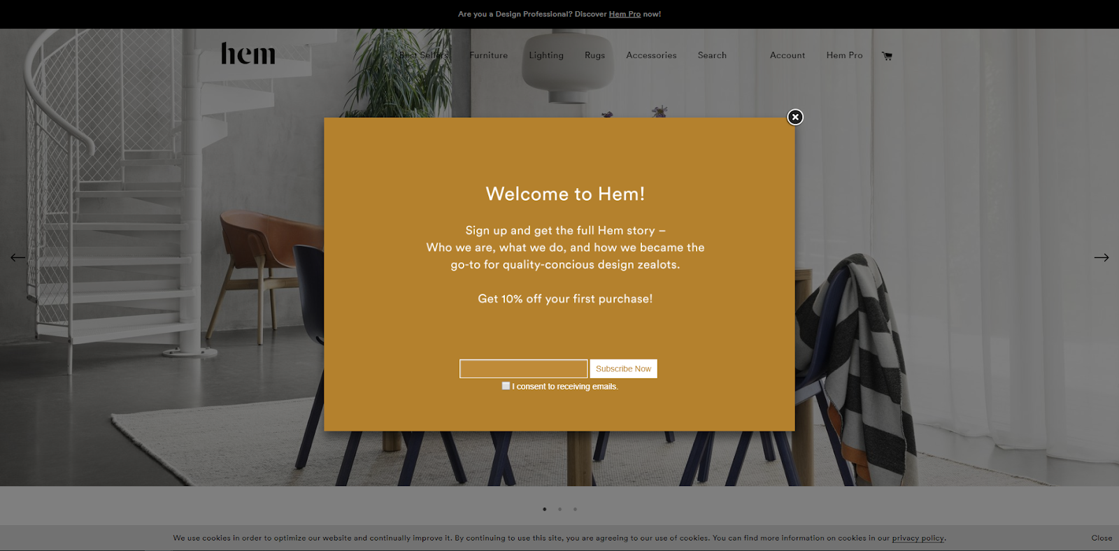 example of a Shopify email popup from Hem