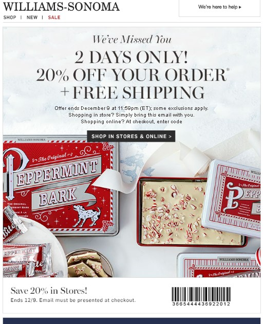 Example of re-engagement transaction email from Williams Sonoma