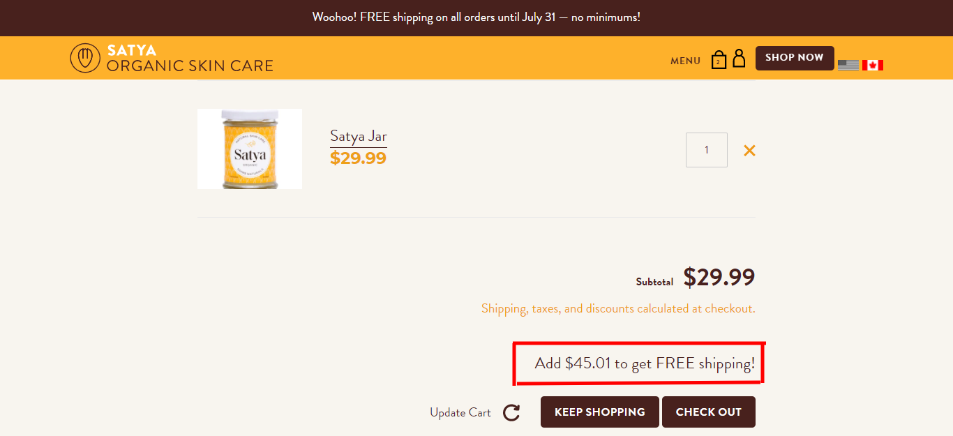 using free shipping to boost ecommerce ROAS