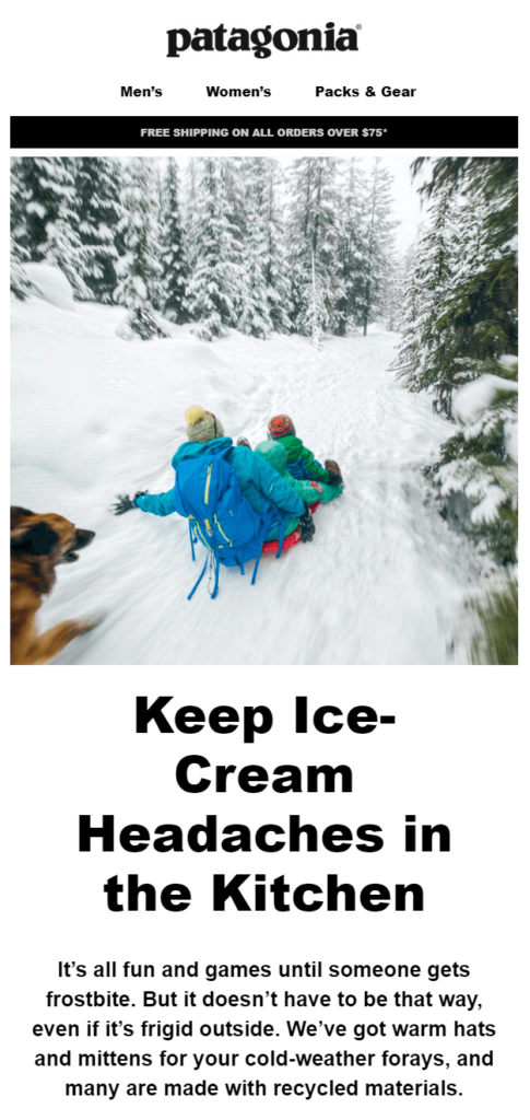 promotional drip email campaign by Patagonia