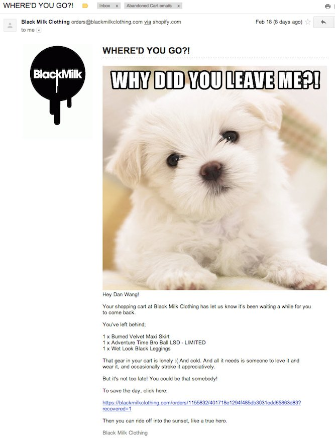 example of email personalization by Black Milk Clothing