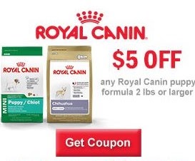 Example of behavioral targeting by Royal Canin