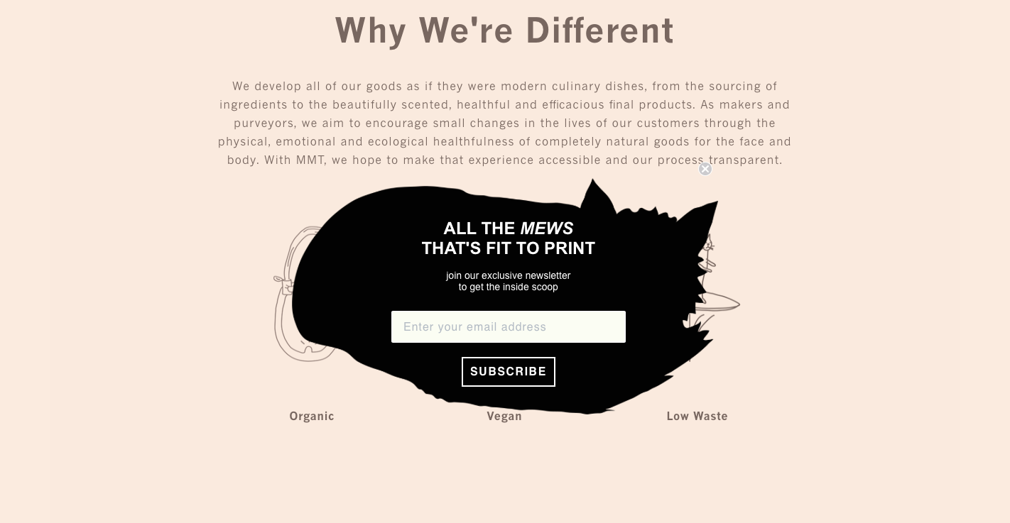Example of newsletter as a lead magnet example