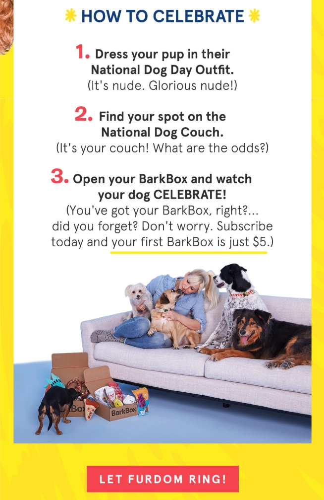 Seasonal sales promotion by BarkBox