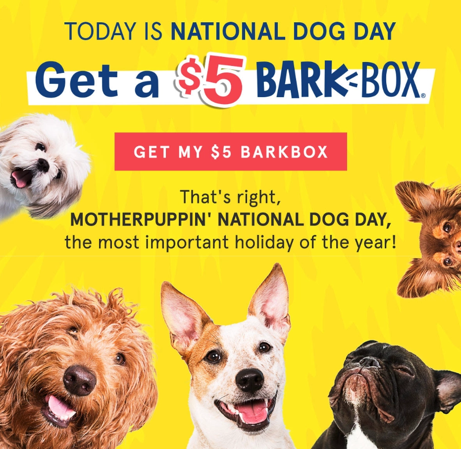 example of sales promotion idea by BarkBox
