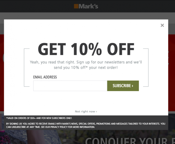 Example of newsletter subscription option on thank you page