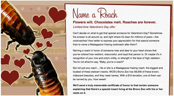 Going Over The Board To Be Out-Of-The-Box - 13 Most Common Valentine’s Day Mistakes in eCommerce