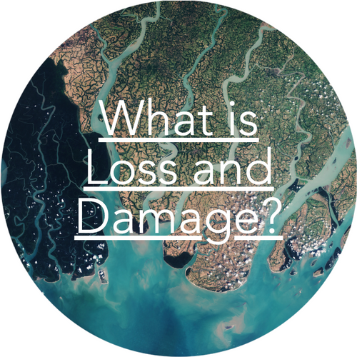 What Is Loss And Damage