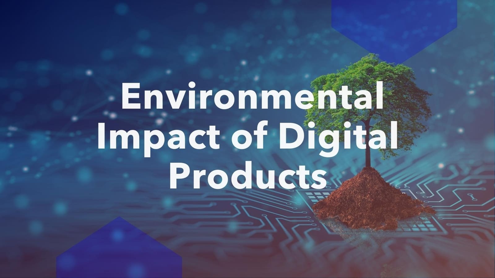 Reducing the IRL Environmental Impact of the Digital World | Insights