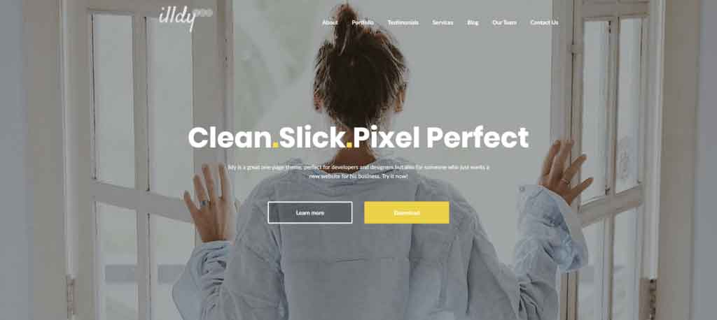 thème wordpress Illdy