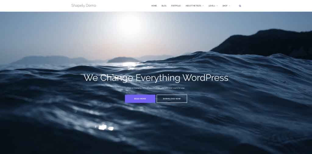 thème gratuit wordpress shapely