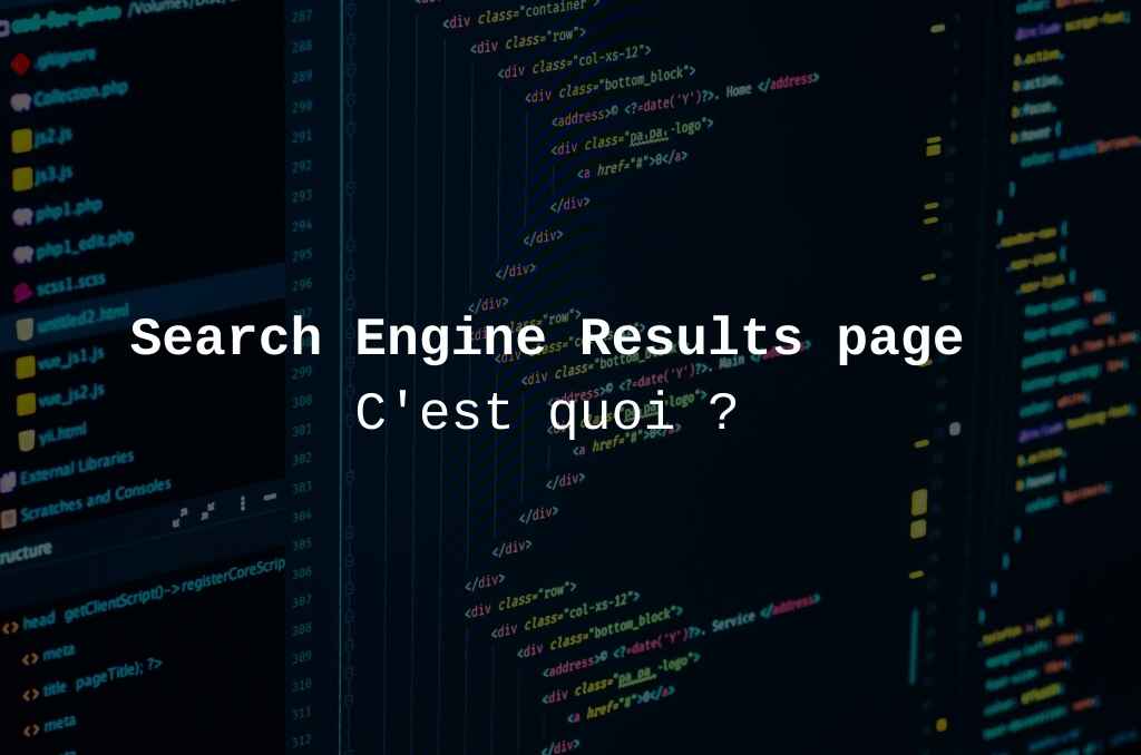 SERP ou Search Engine Results Page