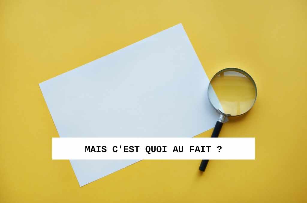 SERP c'est quoi