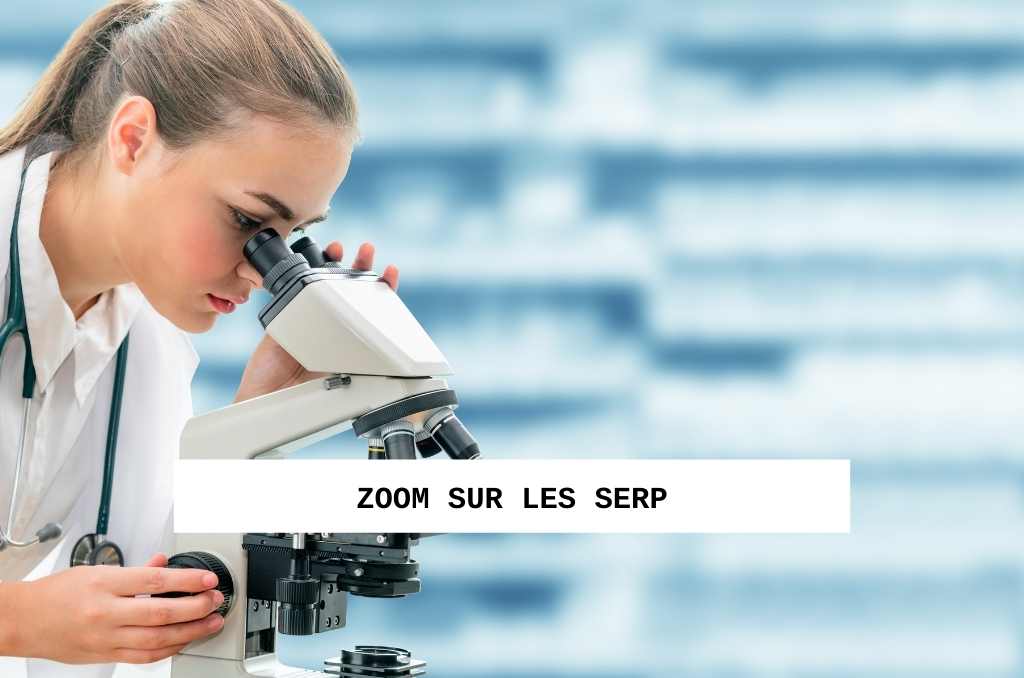 zoom sur les serp