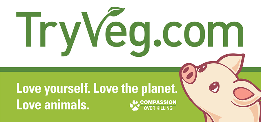 free-TryVeg_BumperSticker_