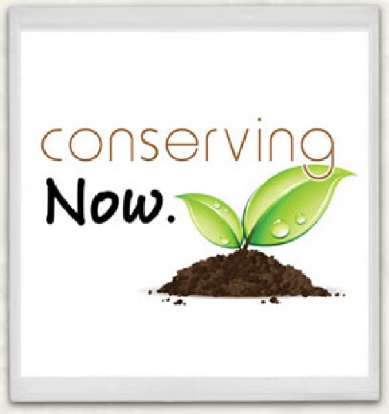 free-conserving-now-static-window-cling