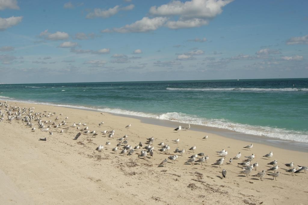 Surfside Beach.