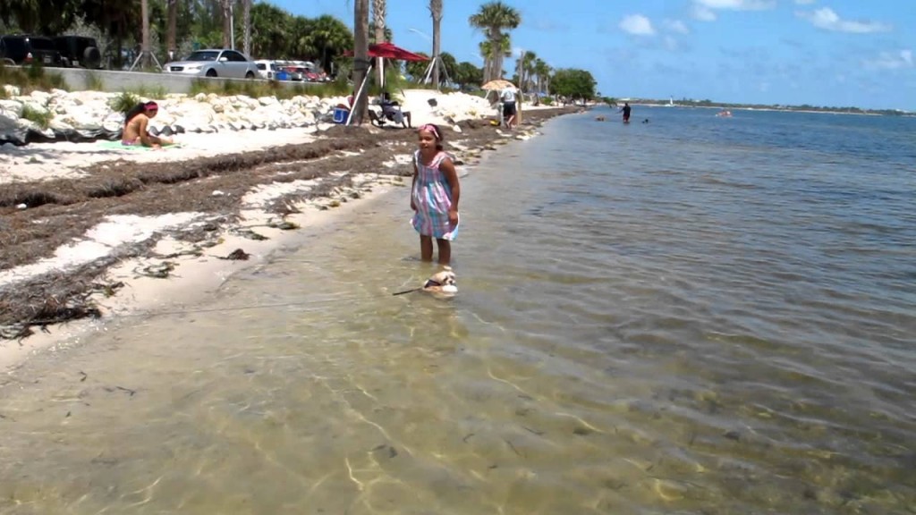 hobie-beach