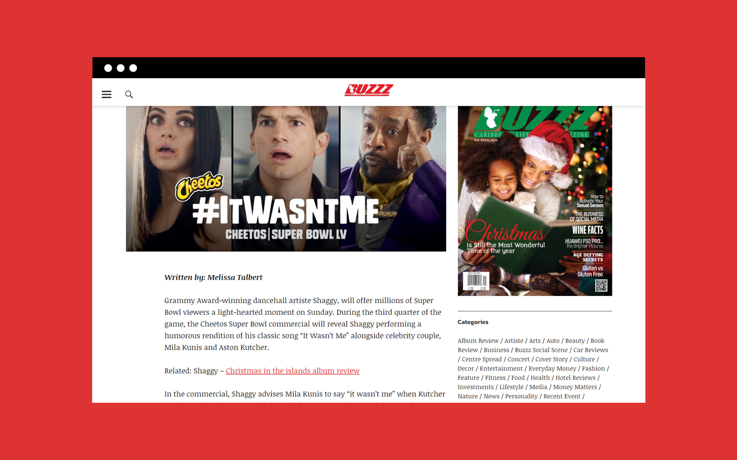 Single article layout on Buzzz's website