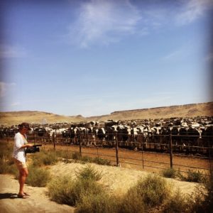 Last Rush for the Wild West