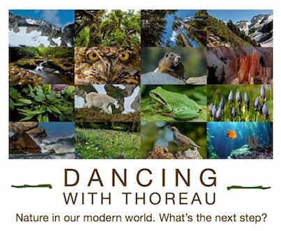Dancing With Thoreau