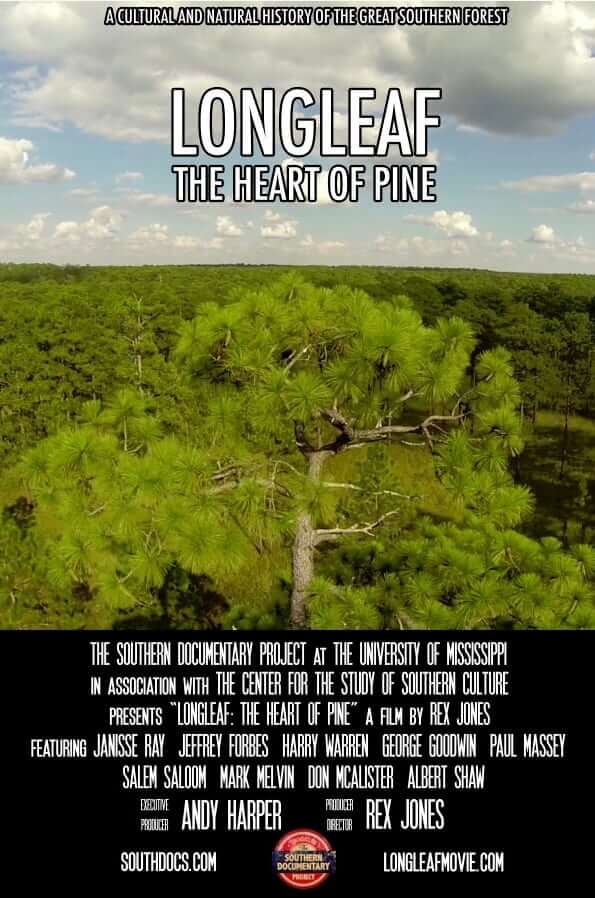 Longleaf: The Heart of Pine