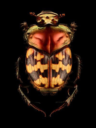 Microsculpture
