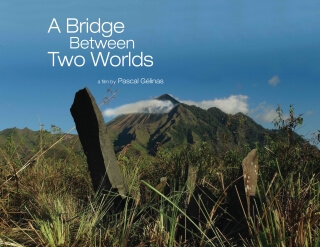 A Bridge Between Two Worlds
