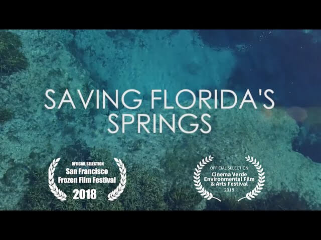 The Global Connection: Saving Florida's Springs